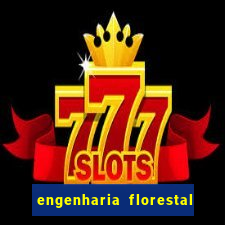 engenharia florestal ead cruzeiro do sul